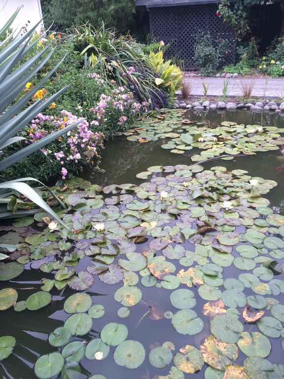 Bed and Breakfast Water Lily Garden Christchurch Exterior foto