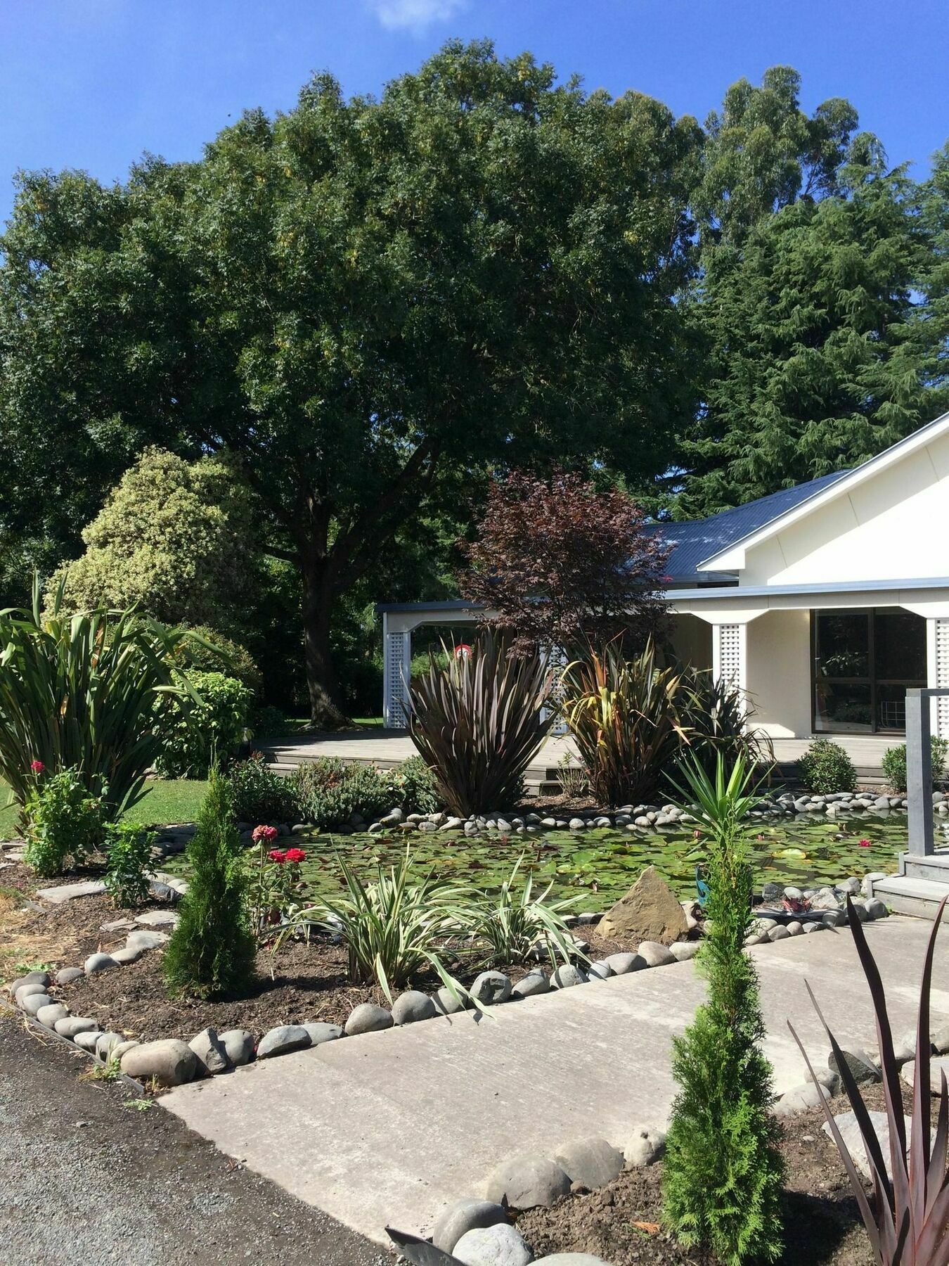 Bed and Breakfast Water Lily Garden Christchurch Exterior foto